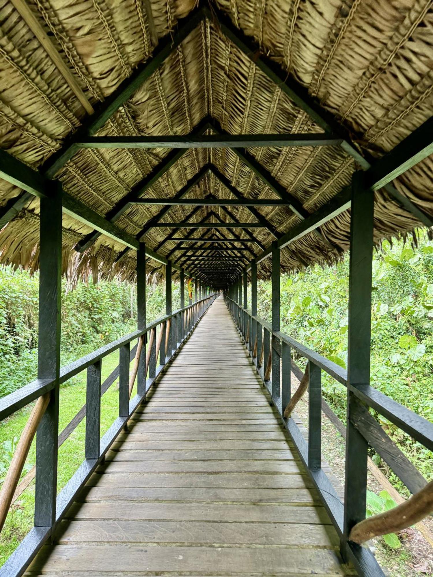 Biohotel Arara River 레티시아 외부 사진